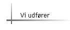 Vi udfrer